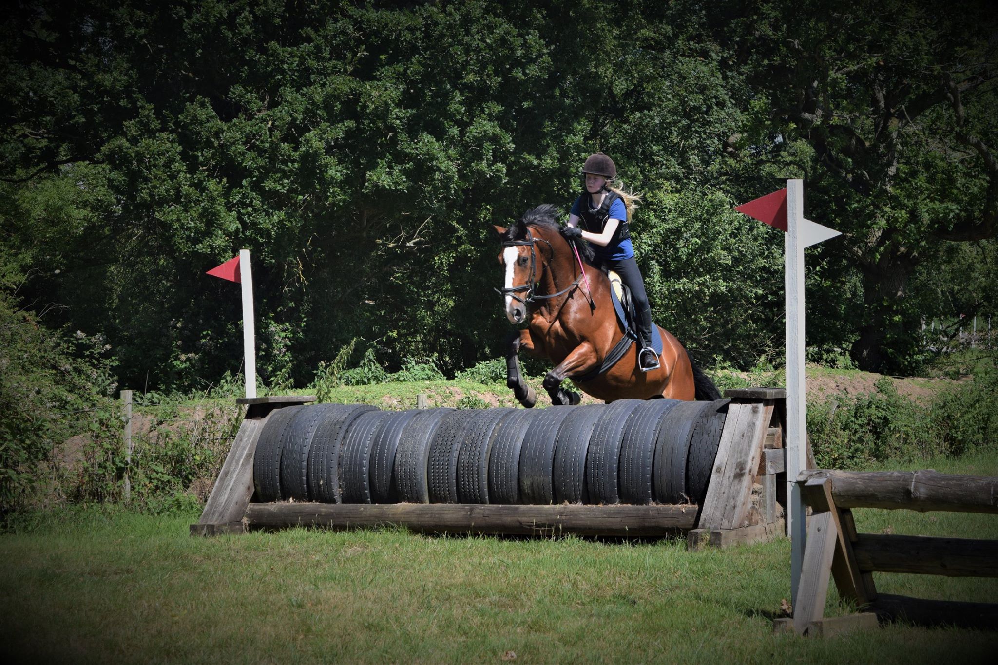 Our Horses Larkspur Equestrian